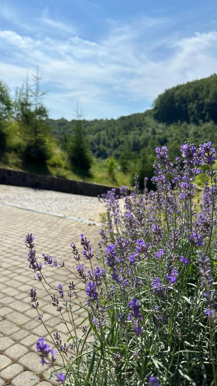 Panna Hotel Solochin Zewnętrze zdjęcie